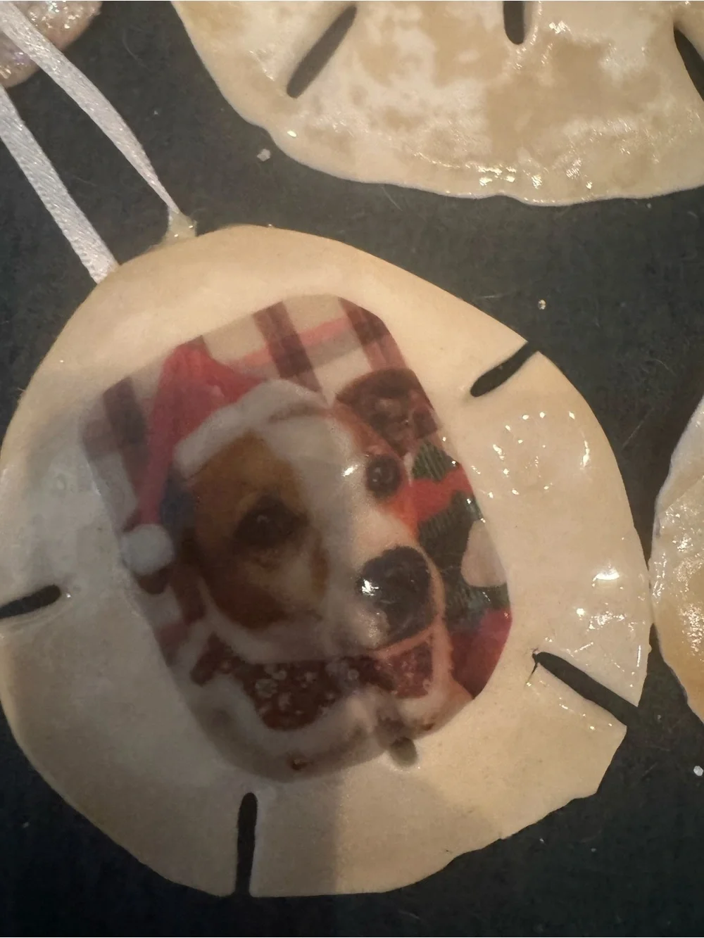 Custom Pet Photo real Sand Dollar Ornaments - Personalized Dog Photo (Beige)